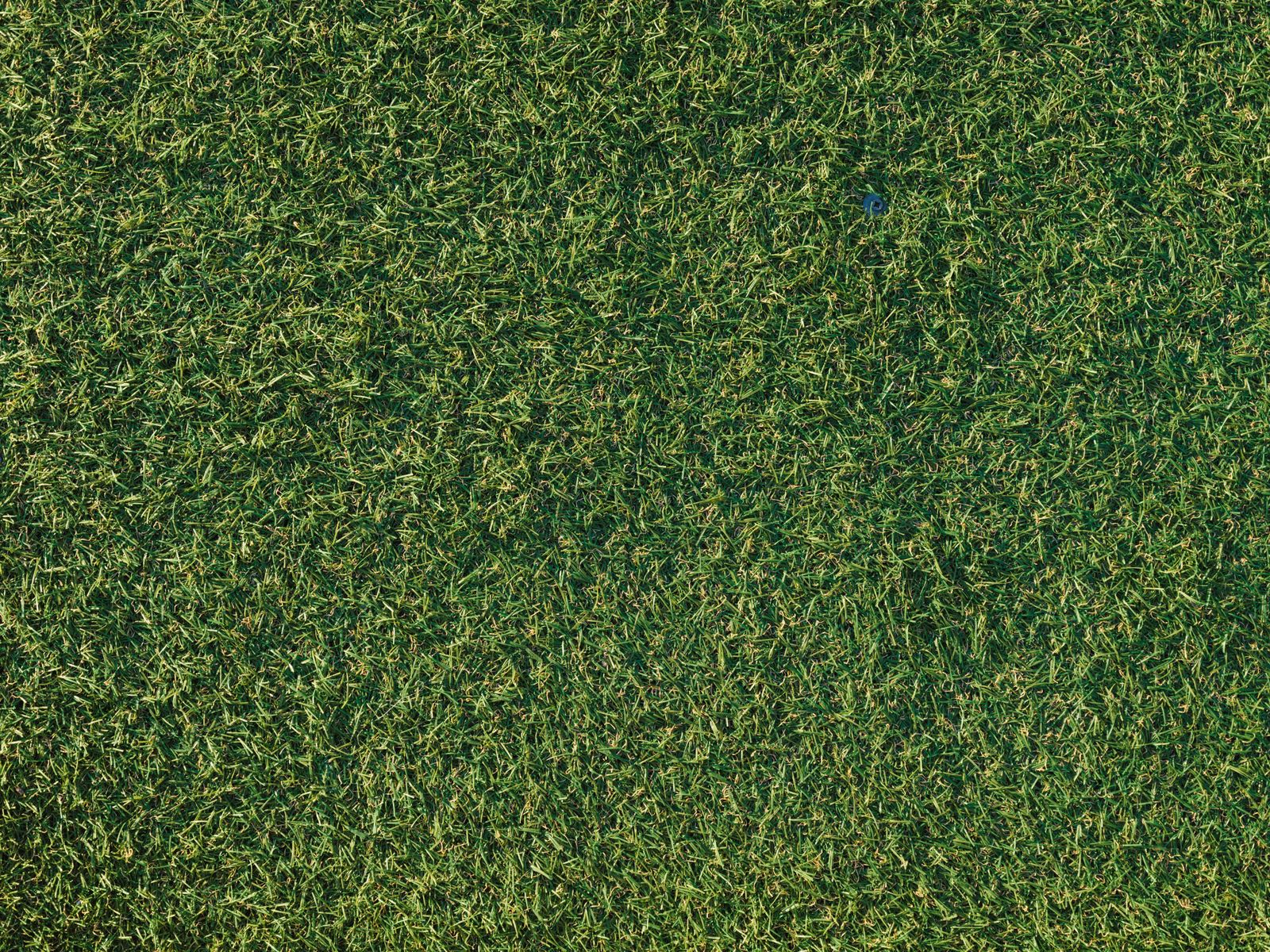Artificial turf installation over a graded base in Anchorage