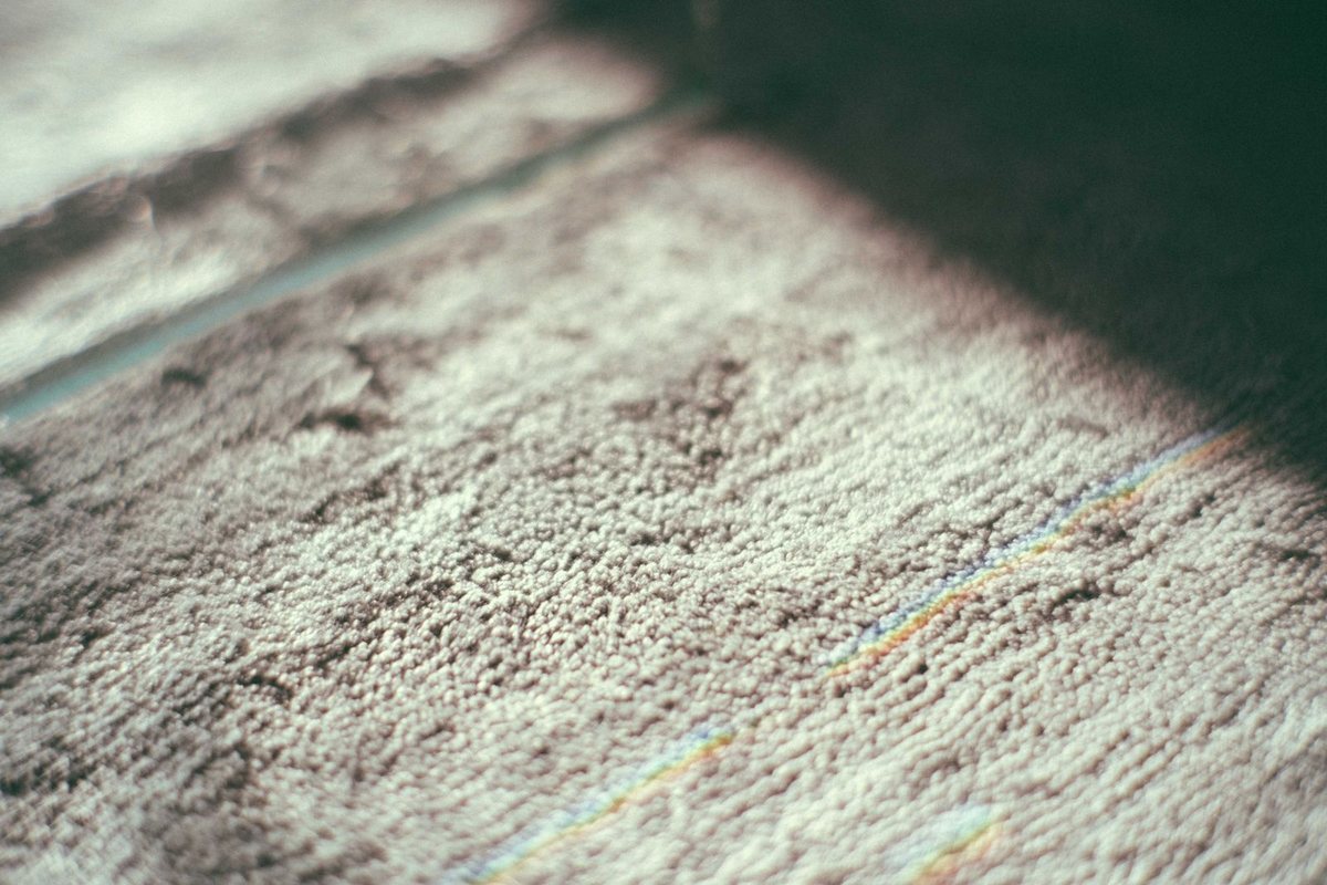 Close-up of carpet pile in a Anchorage home