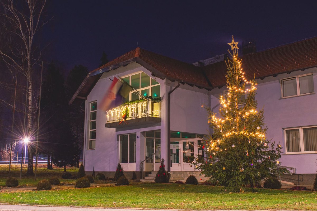 Home decorated with Christmas lights and a lit tree at night in Anchorage, AK