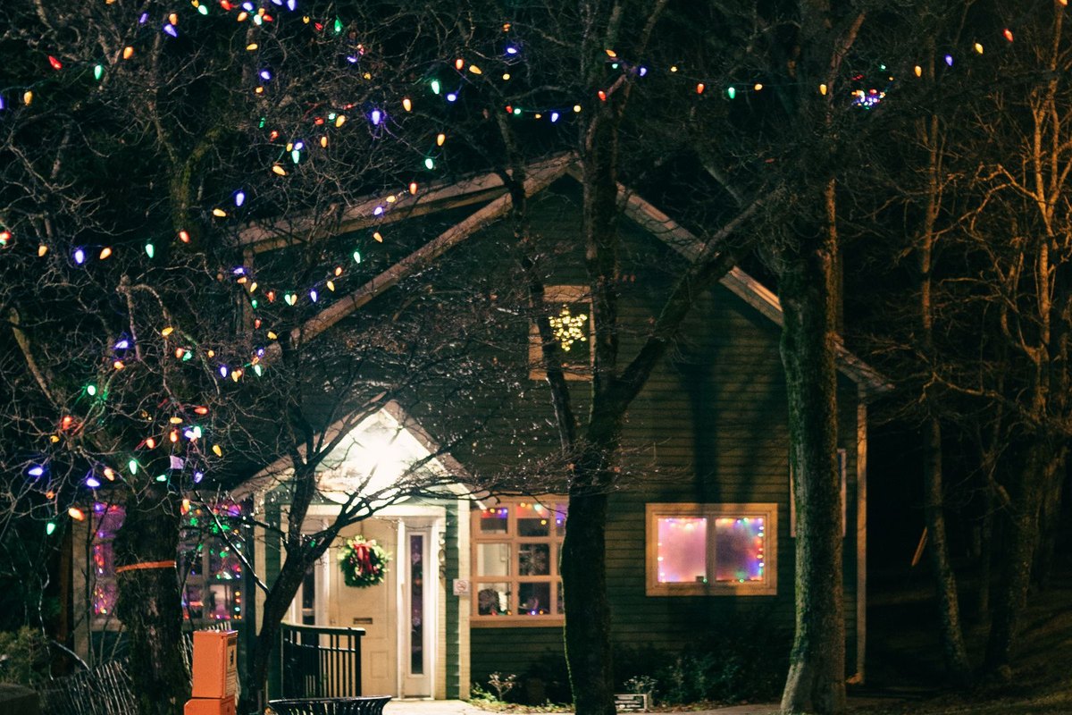 Trees lit with string lights beside a decorated home at night in Anchorage