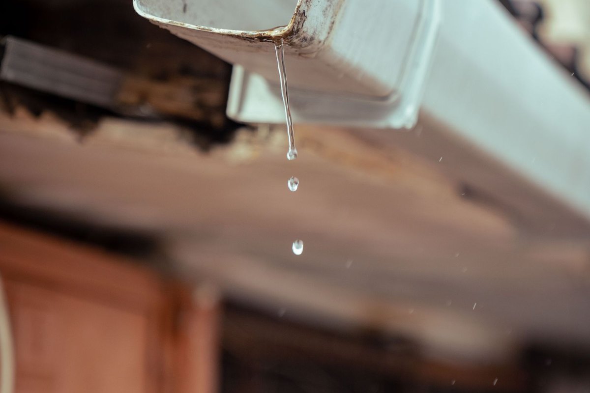 Rainwater draining from a gutter at the roof eave