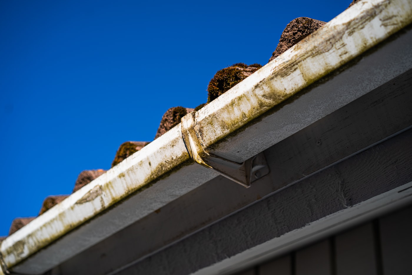 Leaf-clogged gutter being cleared in Anchorage