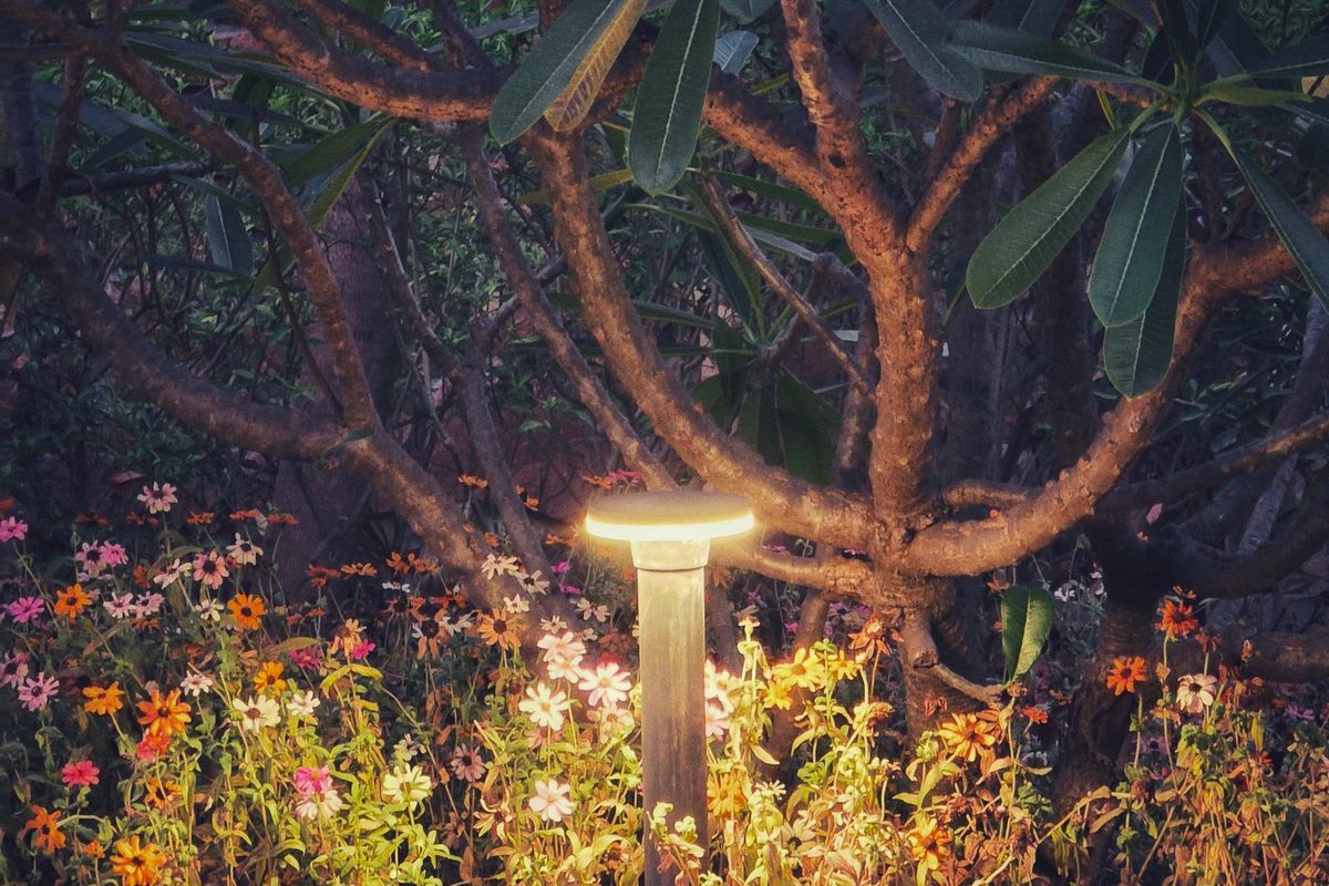 Low-voltage garden light glowing among flowering plants at night in Anchorage