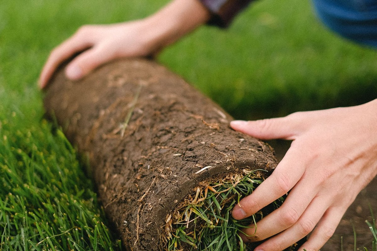 Freshly installed sod making a thick, even green lawn in Anchorage, AK