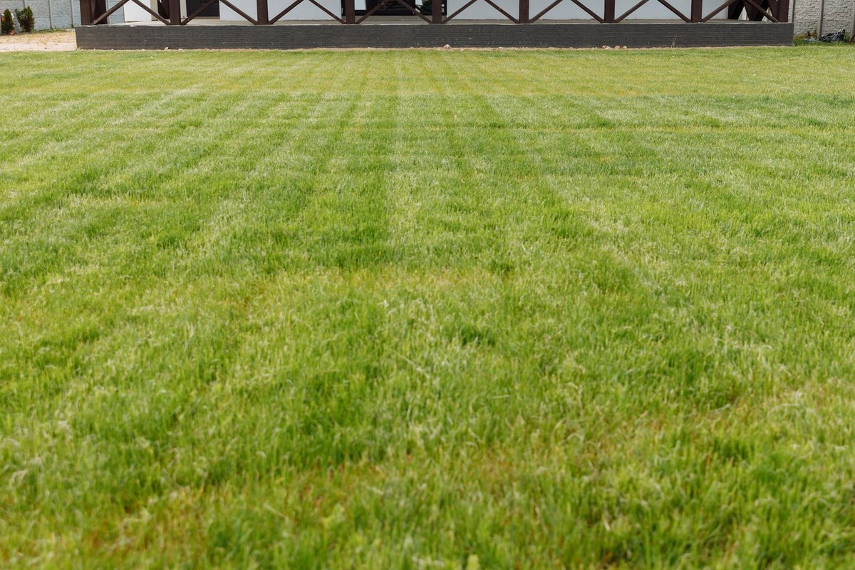 A healthy, freshly mowed green lawn in Anchorage, AK