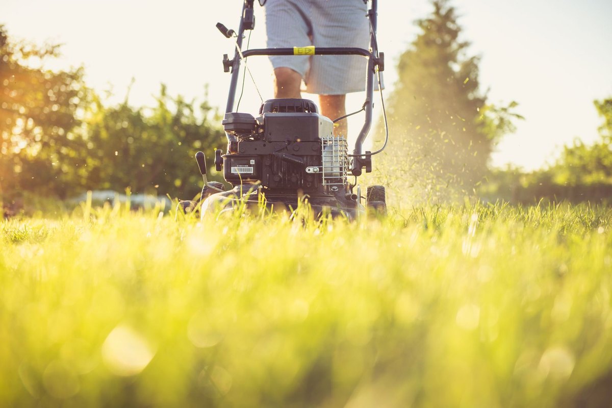 A mower cutting a green residential lawn