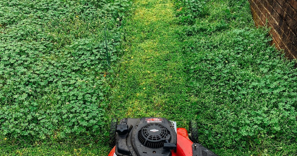 Lawn Care demo