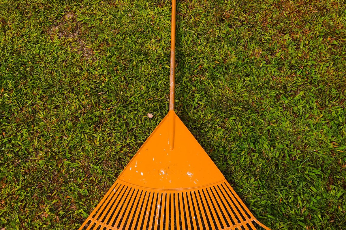 An orange leaf rake resting on a green lawn in Anchorage, AK