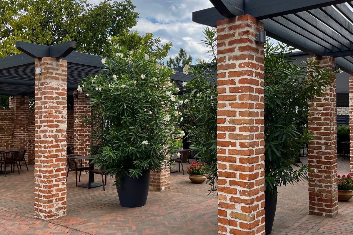 Pergola with brick columns over a patio in Anchorage