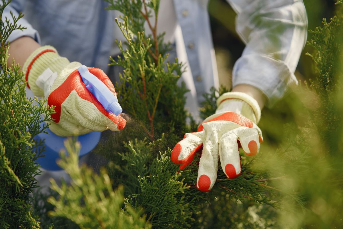 Spraying a treatment along outdoor greenery and the property perimeter