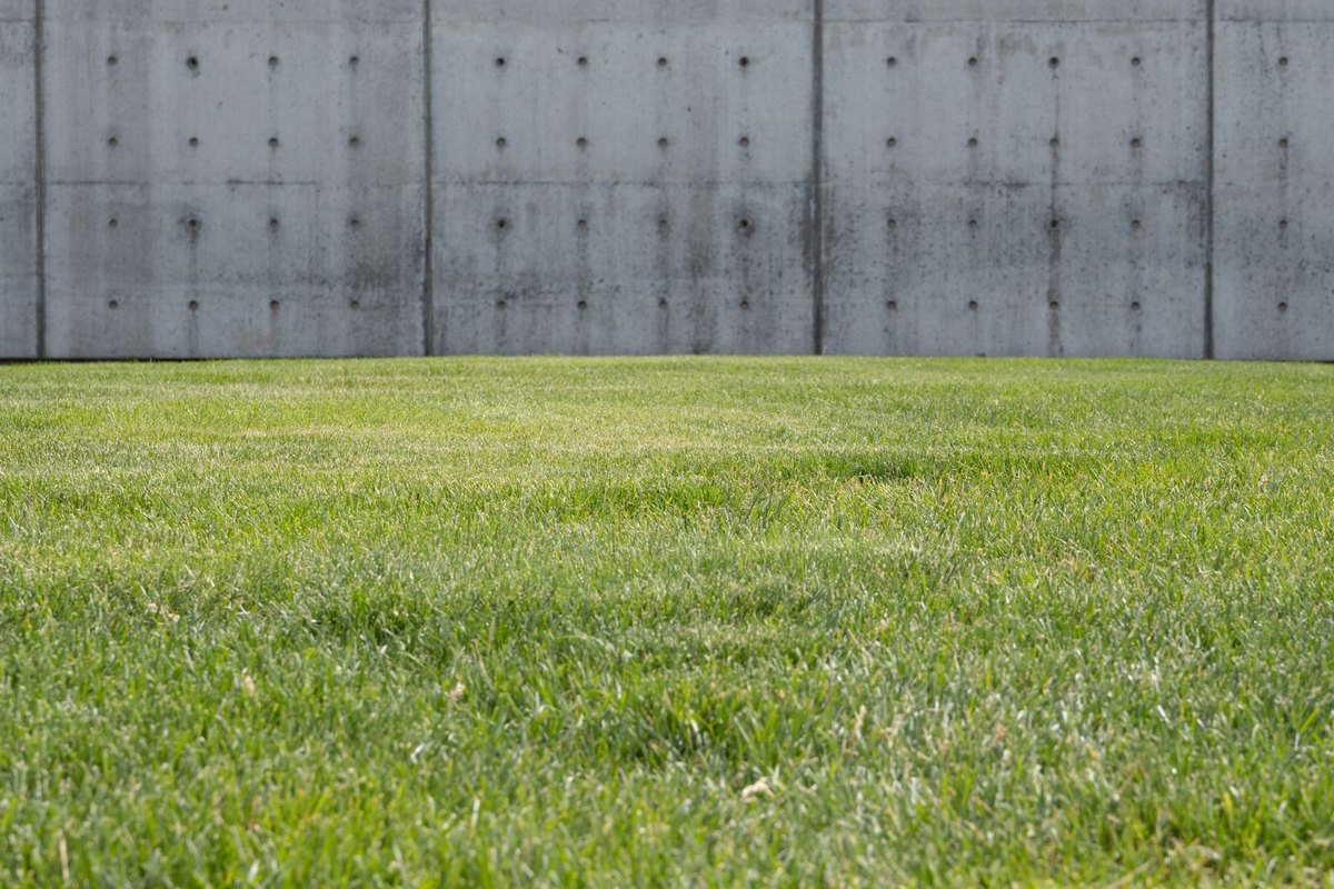 Concrete wall beside a lawn in Anchorage, AK
