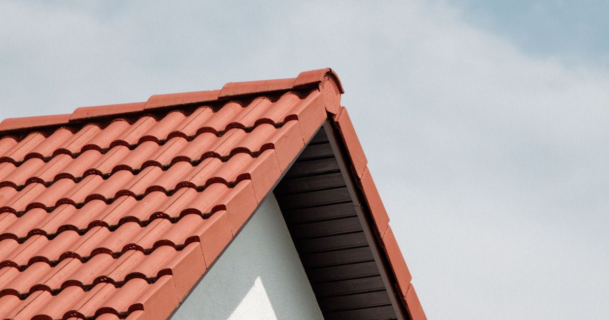 Roof Cleaning demo