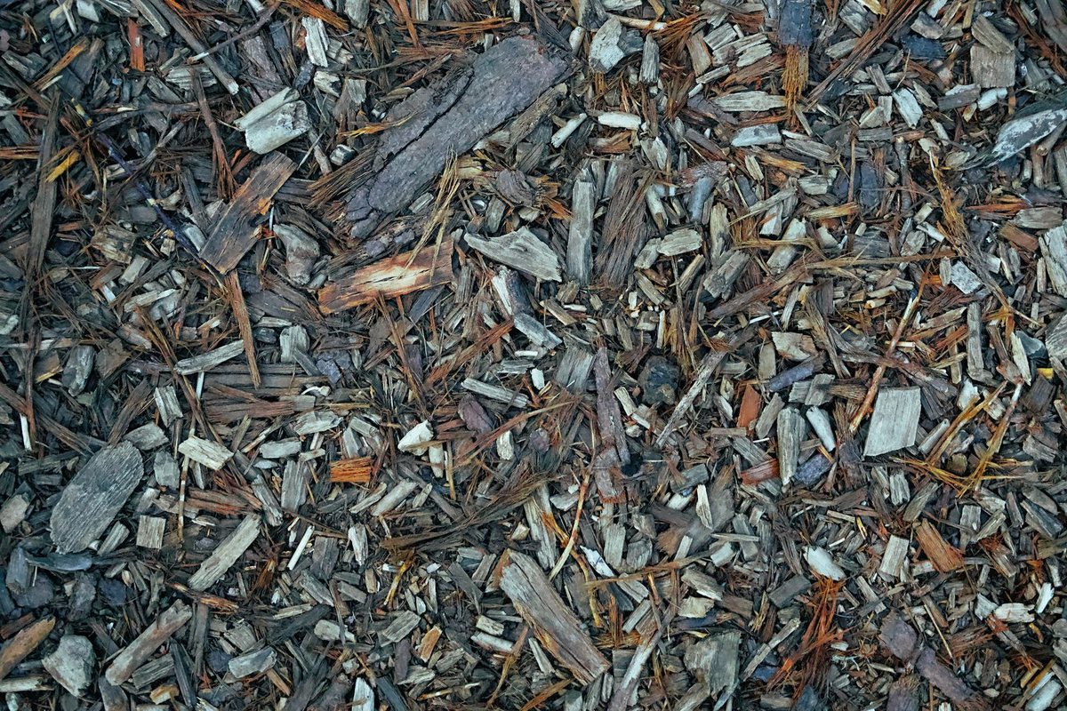 Wood chips and mulch from a ground-down tree stump in Anchorage, AK