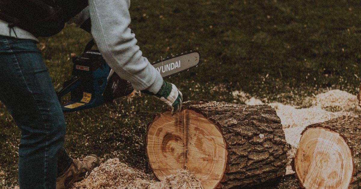 Stump Grinding demo