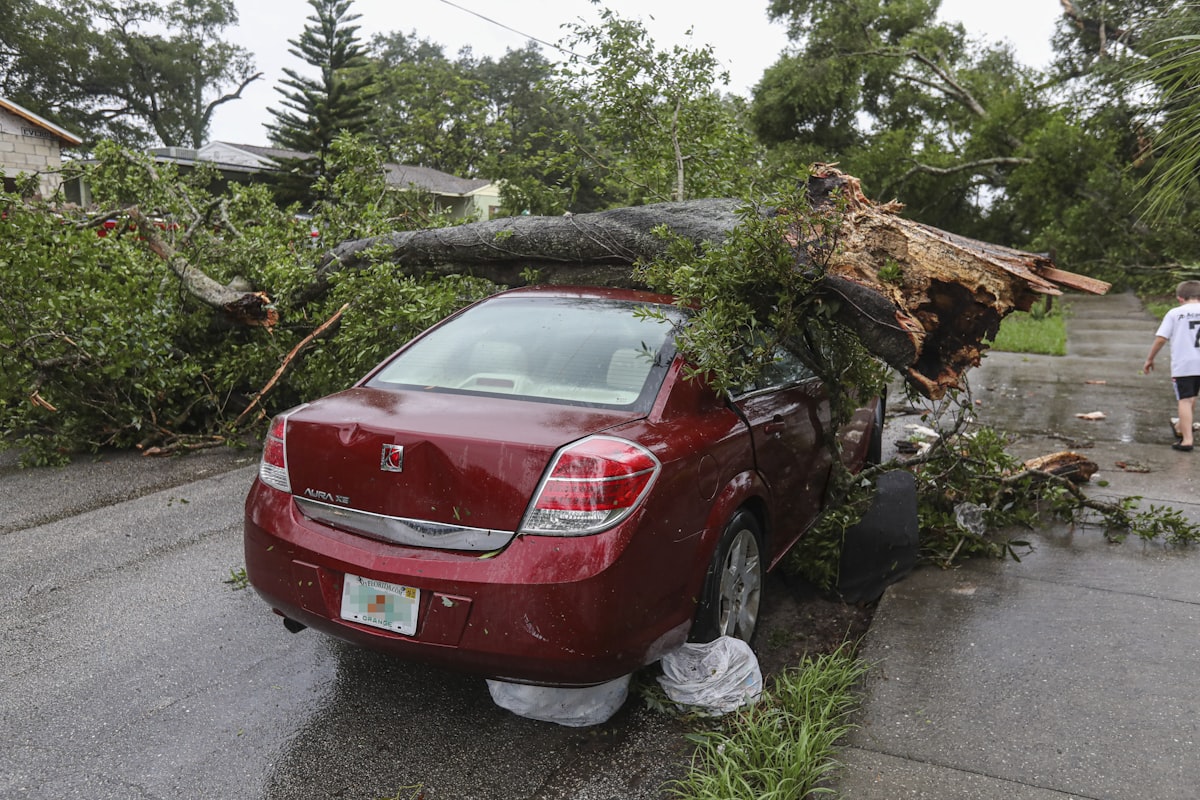Emergency storm tree removal in Anchorage, AK