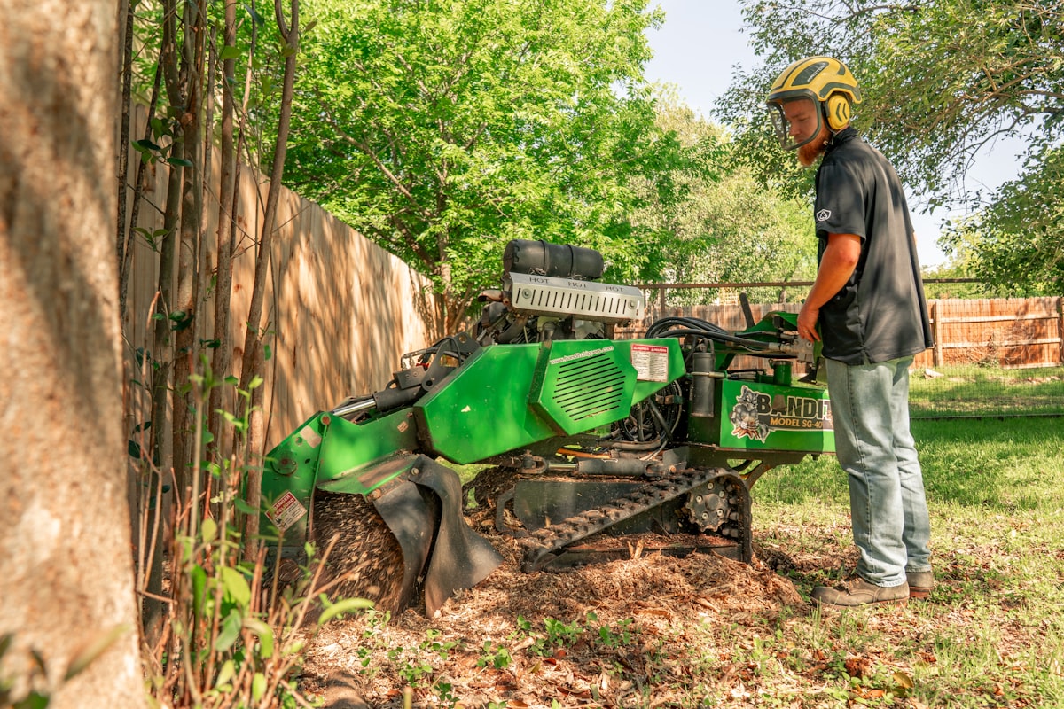 Stump grinding in Anchorage, AK