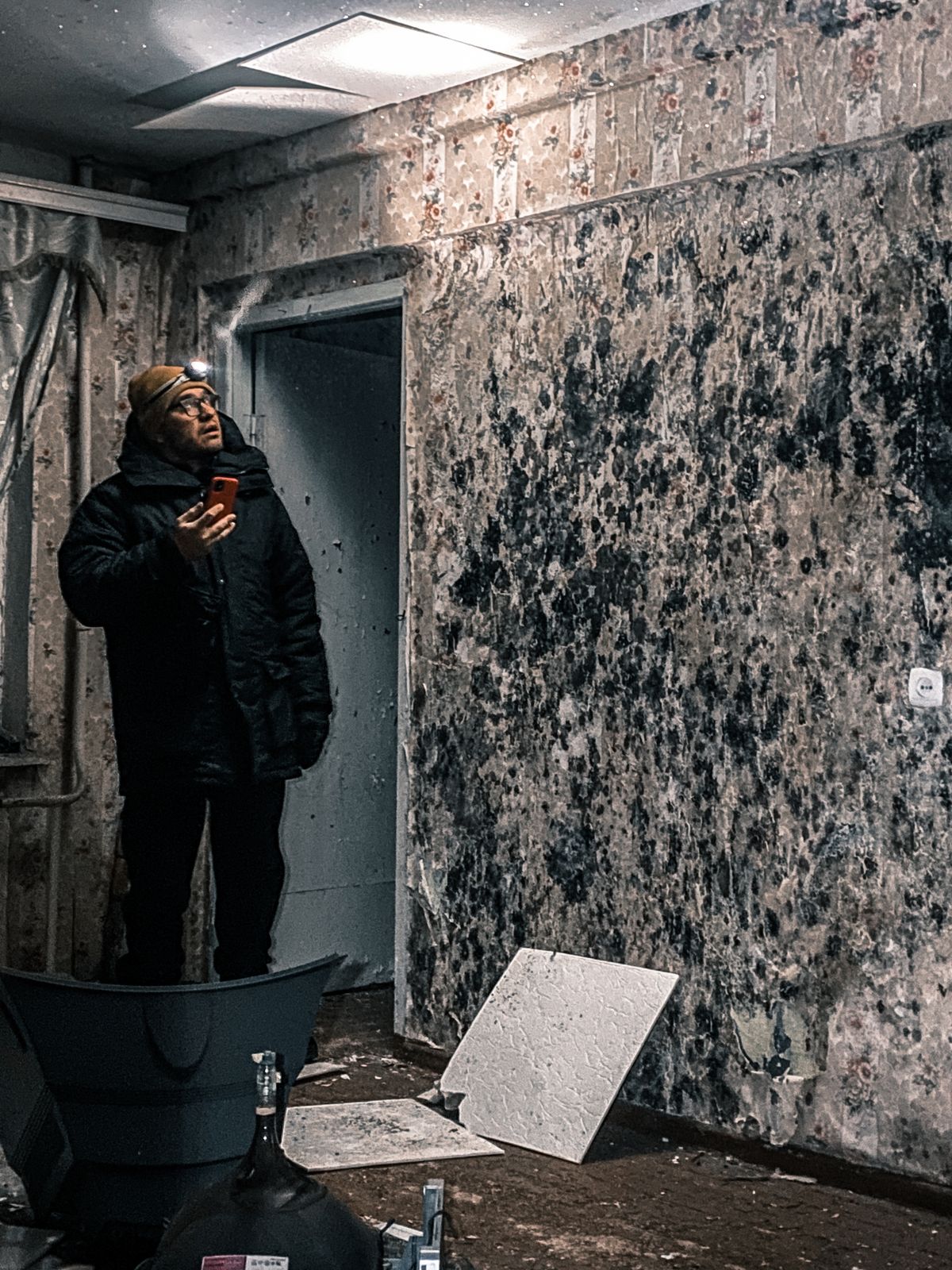 Mold Remediation in Anchorage, AK