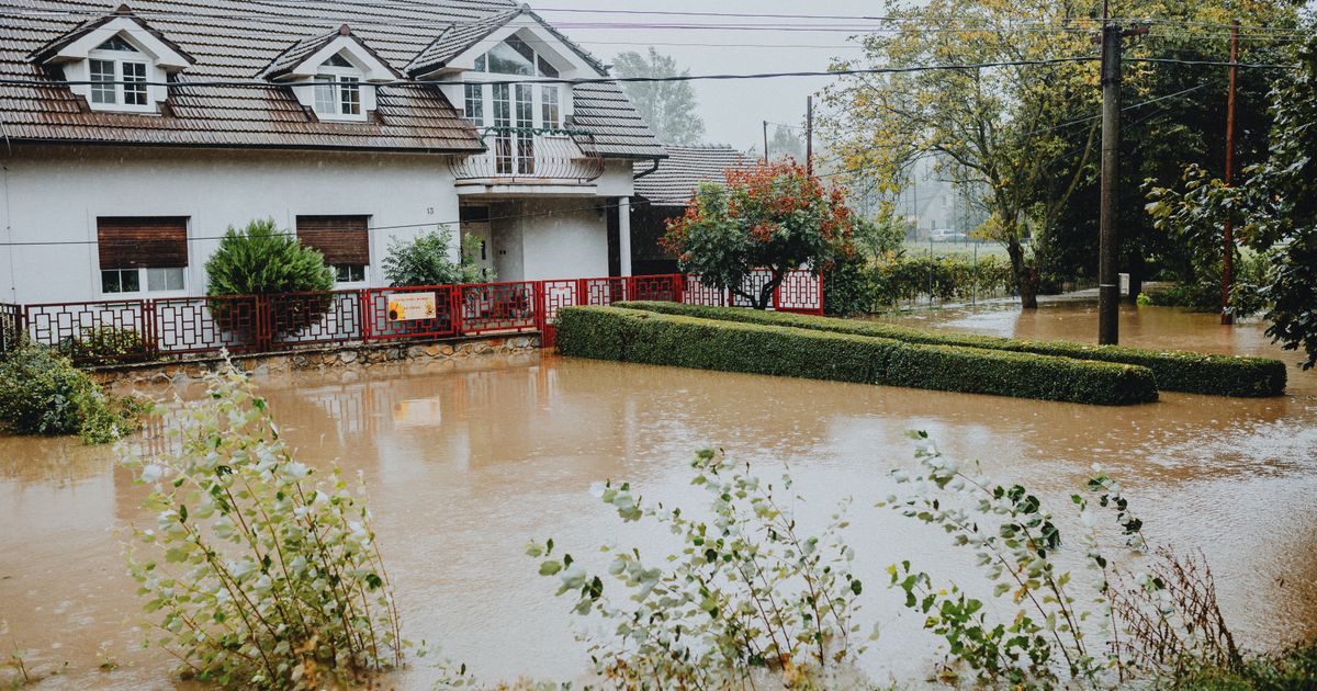 Water Damage Restoration demo